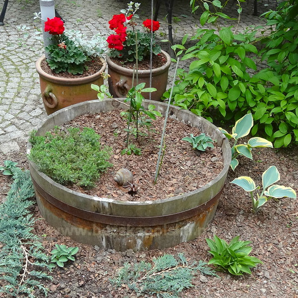 donica80x40dab stara