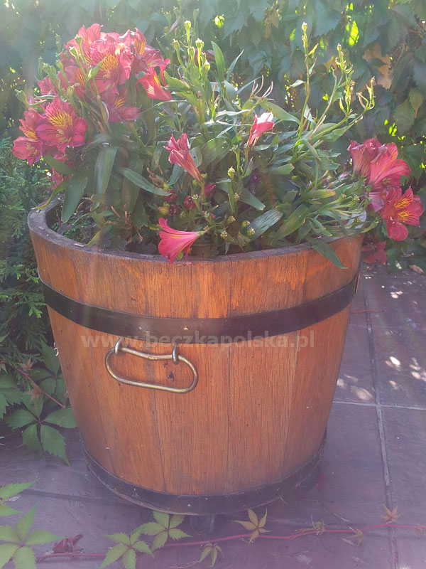 Donica dębowa DX13 dx13 natarasie