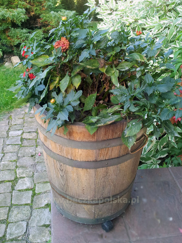 Donica dębowa DX8 dx8 natarasie2 stara